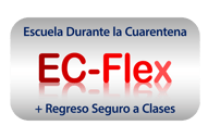 EC-Flex-1